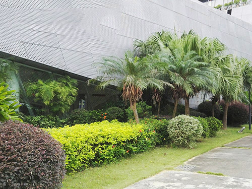 绿化植被养护